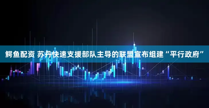 鳄鱼配资 苏丹快速支援部队主导的联盟宣布组建“平行政府”