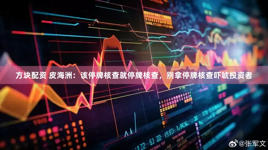 方块配资 皮海洲：该停牌核查就停牌核查，别拿停牌核查吓唬投资者
